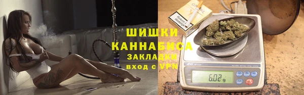 стаф Пестово
