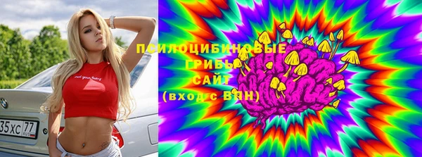 прущая мука Остров