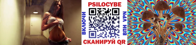 Купить закладки  Карачаевск  Псилоцибиновые грибы прущие грибы 